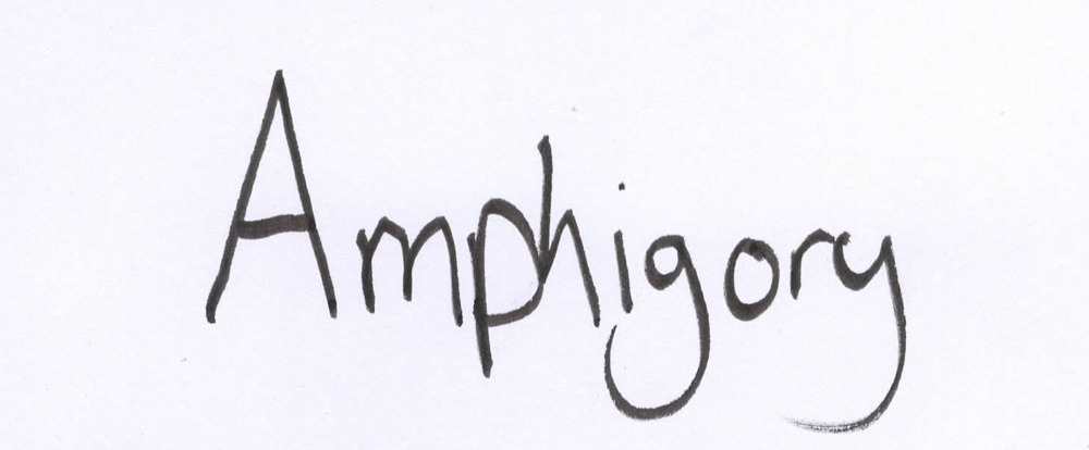 Amphigory